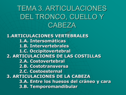 TEMA 3. ARTICULACIONES DEL TRONCO,CUELLO Y CABEZA
