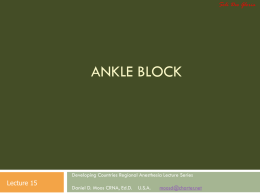 Slides 15 Ankle Block