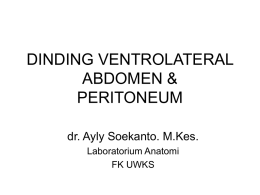 situs abdominis-dinding abd-peritoneum-4