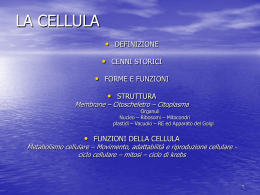 LA CELLULA - Tesionline.it