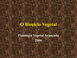 O Biociclo vegetal FV avançada