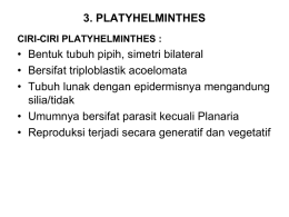 Contoh: Platyhelminthes