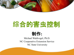 蟑螂 - Chinese Food Safety
