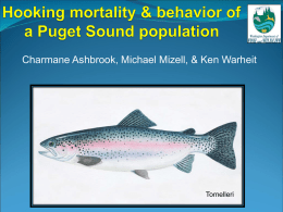 ppt