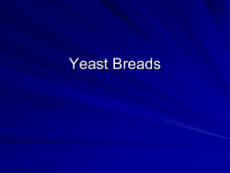 Yeast breads - Marblehead High School
