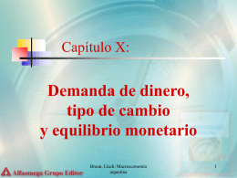 Capítulo X: Demanda de dinero, tipo de cambio y equilibrio monetario