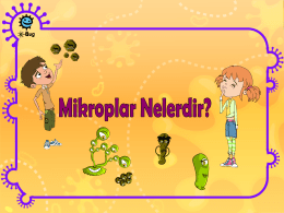 Mikrop Nedir? (MS PowerPoint) - e-Bug
