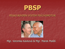 PESSO BOYDEN SYSTEM PSYCHOMOTOR