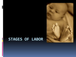 Stages of Labor