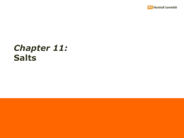 Discover Chemistry (Science) Chapter 11a Salts (Basic)
