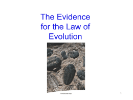 EvolutionEvidence