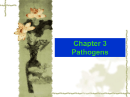 Section 1 Plant Pathogen Fungi