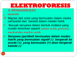 Bab VII Teori Elektroforesis