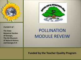 Pollination Module Introduction - Garden Earth Naturalist Homepage