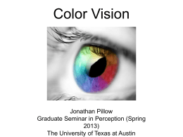 Color Constancy - The University of Texas at Austin