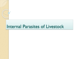 Internal Parasites of Livestock - KCPE-KCSE
