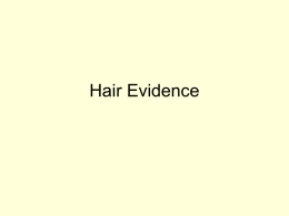 Hair Evidence - Forensic Science