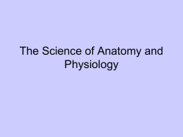 The Science of Anatomy and Physiology