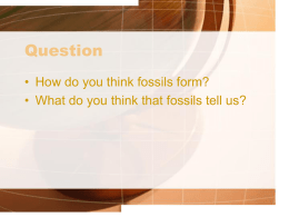 PowerPoint for the Fossil Notes