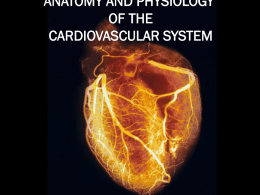 DOWNLOAD ANATOMY AND PHYSIOLOGY OF THE