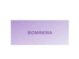 Biominería - WordPress.com