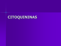 AUXINAS - REGULADORES DE CRECIMIENTO