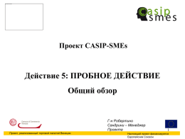 Проект CASIP-SMEs