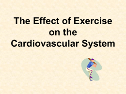 The Effect of Exercise cardio system