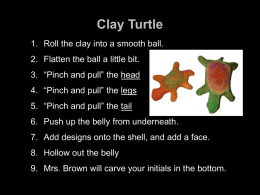 Clay Turtle - Mrs. Brown`s Art Class