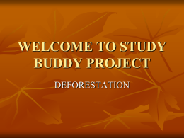 the Study Buddy Deforestation Project