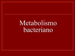 Crecimiento y Metabolismo bacteriano