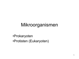 Mikroorganismen