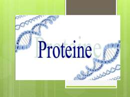 Proteine - WordPress.com