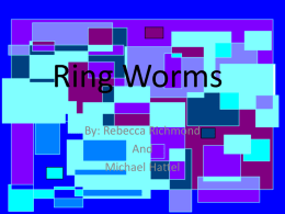 Ring_Worms