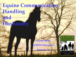 Equine Communication