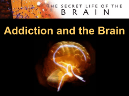 Addiction/Brain