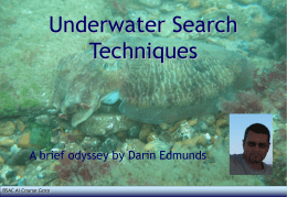 Underwater Search Techniques