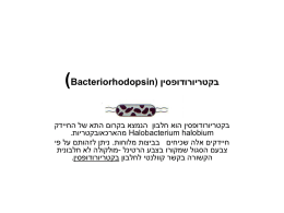 בקטריורודופסין (Bacteriorhodopsin) 193.5 Kb