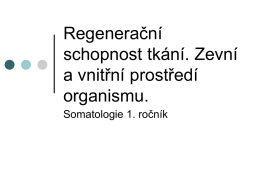 Regenerační schopnost tkání. Zevní a vnitřní prostředí organismu.