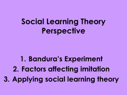 Social Learning Theory Perspective
