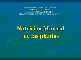 Clase de : Nutrición Mineral - Mis Clases fisiologia vegetal