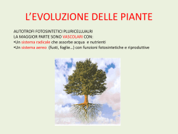 regno delle piante - Collegio San Giuseppe De Merode