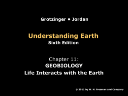 Chapter 11 - Geobiology