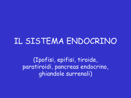endocrino