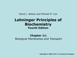 Lehninger Principles of Biochemistry Fourth Edition Chapter 11