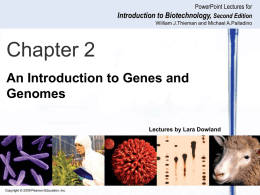 Lect 3 Introd to DNA