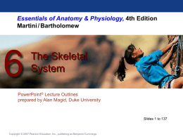 06_LectureOutline_PPT