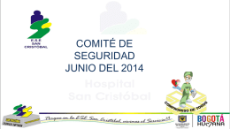 COMITE DE SEGURIDAD JUNIO DEL 2014