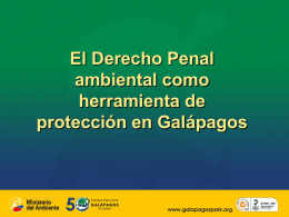 PNG_Charla Derecho Penal Ambiental