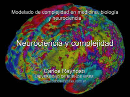 Neurociencia y complejidad